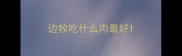 边牧吃什么肉最好
