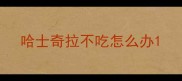 哈士奇拉不吃怎么办