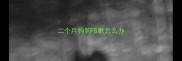 二个月狗狗咳嗽怎么办