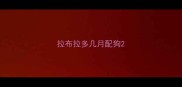 拉布拉多几月配狗