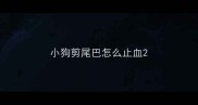小狗剪尾巴怎么止血