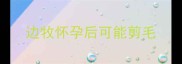 边牧怀孕后可能剪毛