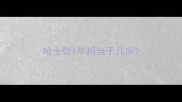 哈士奇1年相当于几岁