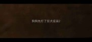 狗狗先打了狂犬疫苗