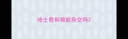 哈士奇和狼能杂交吗