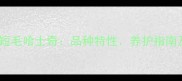 长毛哈士奇vs短毛哈士奇品种特性养护指南及选购全攻略