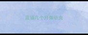 蓝猫几个月做驱虫