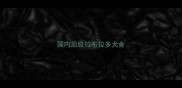 国内顶级拉布拉多犬舍