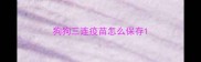 狗狗三连疫苗怎么保存