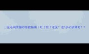 金毛误食猫砂急救指南吐了拉了送医这5步必须做对