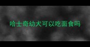 哈士奇幼犬可以吃面食吗