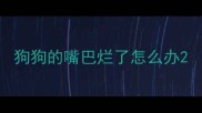 狗狗的嘴巴烂了怎么办