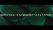 边牧尾巴全白是福新手必看的边境牧羊犬白色尾巴养护指南