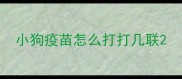 小狗疫苗怎么打打几联