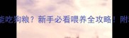 金毛幼犬能不能吃狗粮新手必看喂养全攻略附科学喂养时间表