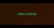 在哪可以买到边牧