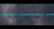 拉布拉多标准体高是多少从幼犬到成犬的体高变化全附饲养指南