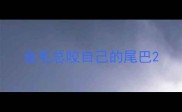 金毛总咬自己的尾巴