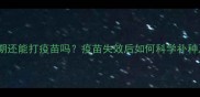 猫咪过了疫苗期还能打疫苗吗疫苗失效后如何科学补种及注意事项全