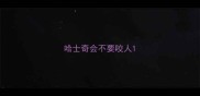 哈士奇会不要咬人