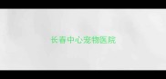 长春中心宠物医院
