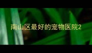 南山区最好的宠物医院