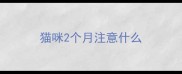 猫咪2个月注意什么