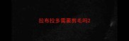 拉布拉多需要剪毛吗