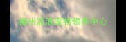 福州流浪宠物领养中心