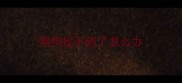 狗狗找不到了怎么办