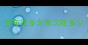 拉布拉多犬每次吃多少