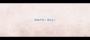 边牧在院子里乱叫