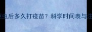 德牧幼犬驱虫后多久打疫苗科学时间表与注意事项全