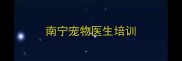 南宁宠物医生培训