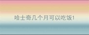 哈士奇几个月可以吃饭
