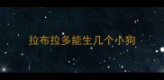 拉布拉多能生几个小狗
