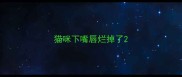 猫咪下嘴唇烂掉了