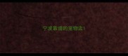 宁波靠谱的宠物店