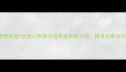 幼犬定点便便教程5步法让狗狗快速养成如厕习惯附常见错误与解决技巧