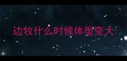 边牧什么时候体型变大