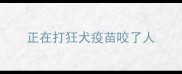 正在打狂犬疫苗咬了人