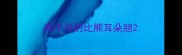 两个月的比熊耳朵翘