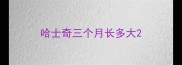 哈士奇三个月长多大