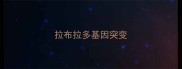 拉布拉多基因突变