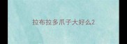 拉布拉多爪子大好么