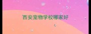 西安宠物学校哪家好