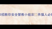 猫咪外出总乱跑3招教你安全管教小祖宗养猫人必看附防走失全攻略