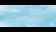 拉布拉多混血波音达串养护全攻略幼犬期到成犬期必看指南