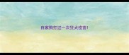 自家狗打过一次狂犬疫苗