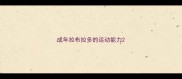 成年拉布拉多的运动能力